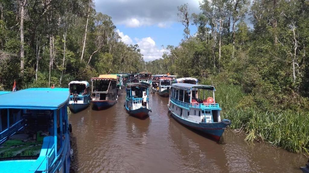 Отель Orangutan Kelotok Houseboat For 6 Person Пангкалан Бун Экстерьер фото